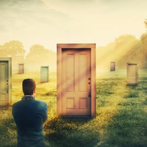 Modules 1 & 2 by Zoom: Introducing Clean Language and Metaphor
