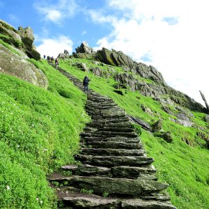 Clean Language Advanced Modules: Modules 5 - 8